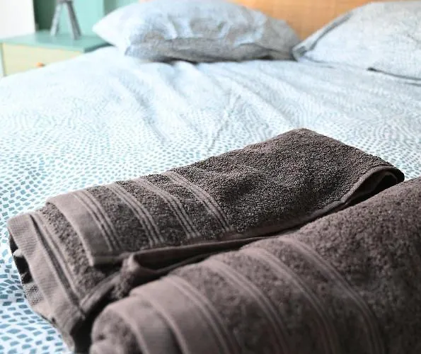 Maison Avec Dans L'hyper Centre De Poitiers